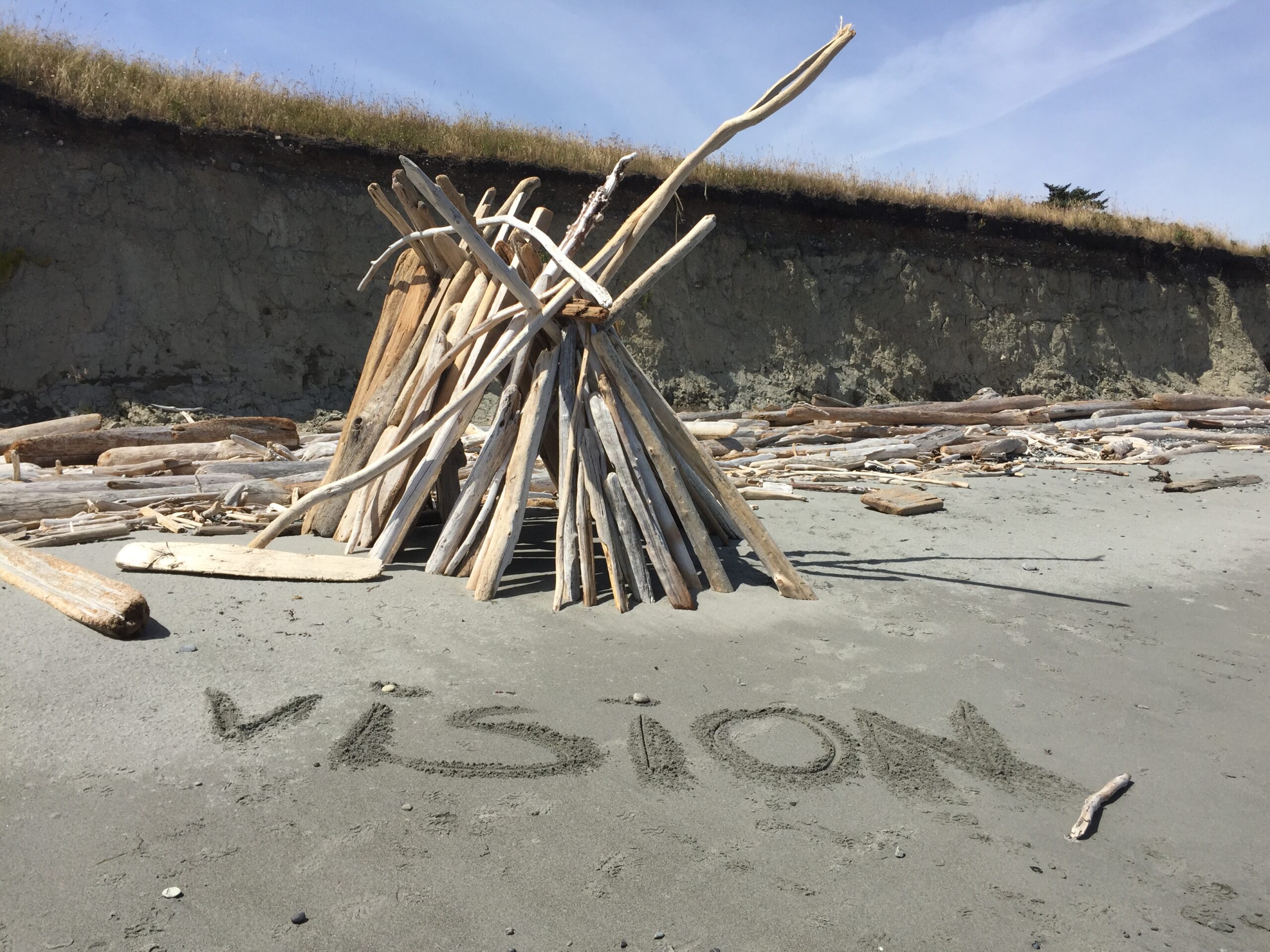 Vision Driftwood Teepee